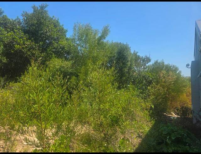 LAND FOR SALE IN GROOT BRAKRIVIER CENTRAL